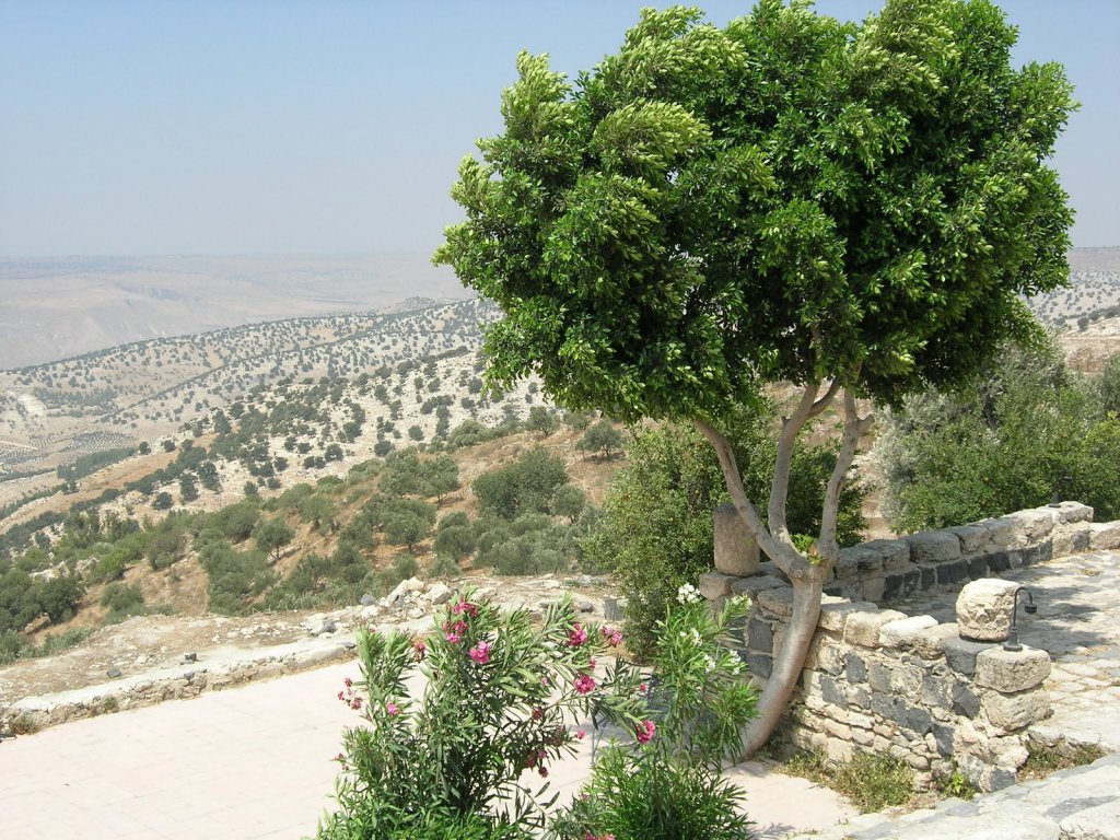 Умм Кайс (Гадара), Иордания фото #18270