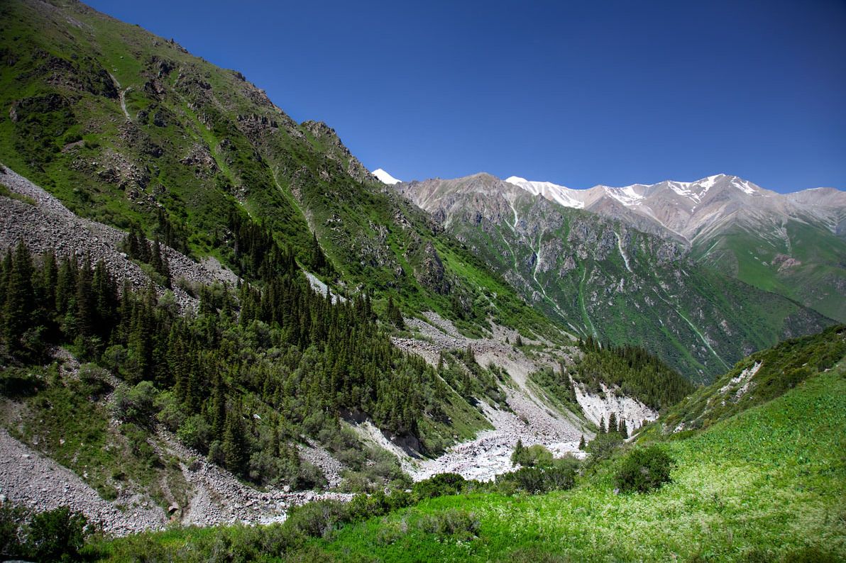 Ала-Арча, Киргизия фото #21696