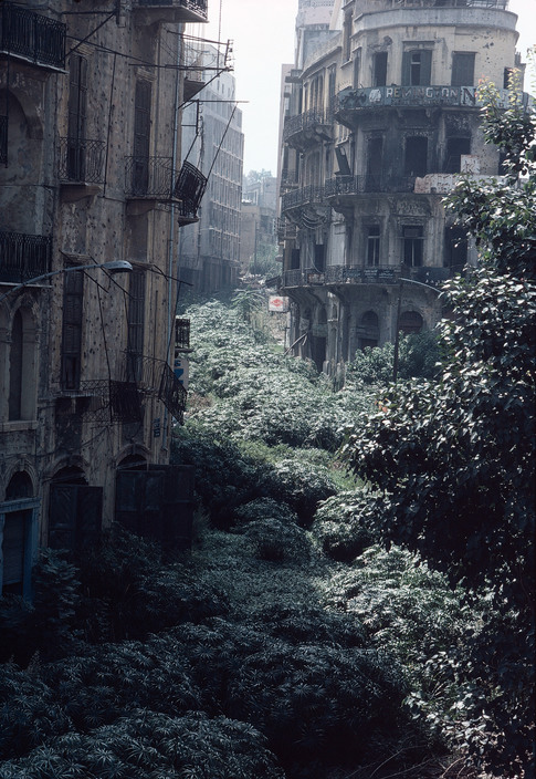 Бейрут, Ливан фото #27601