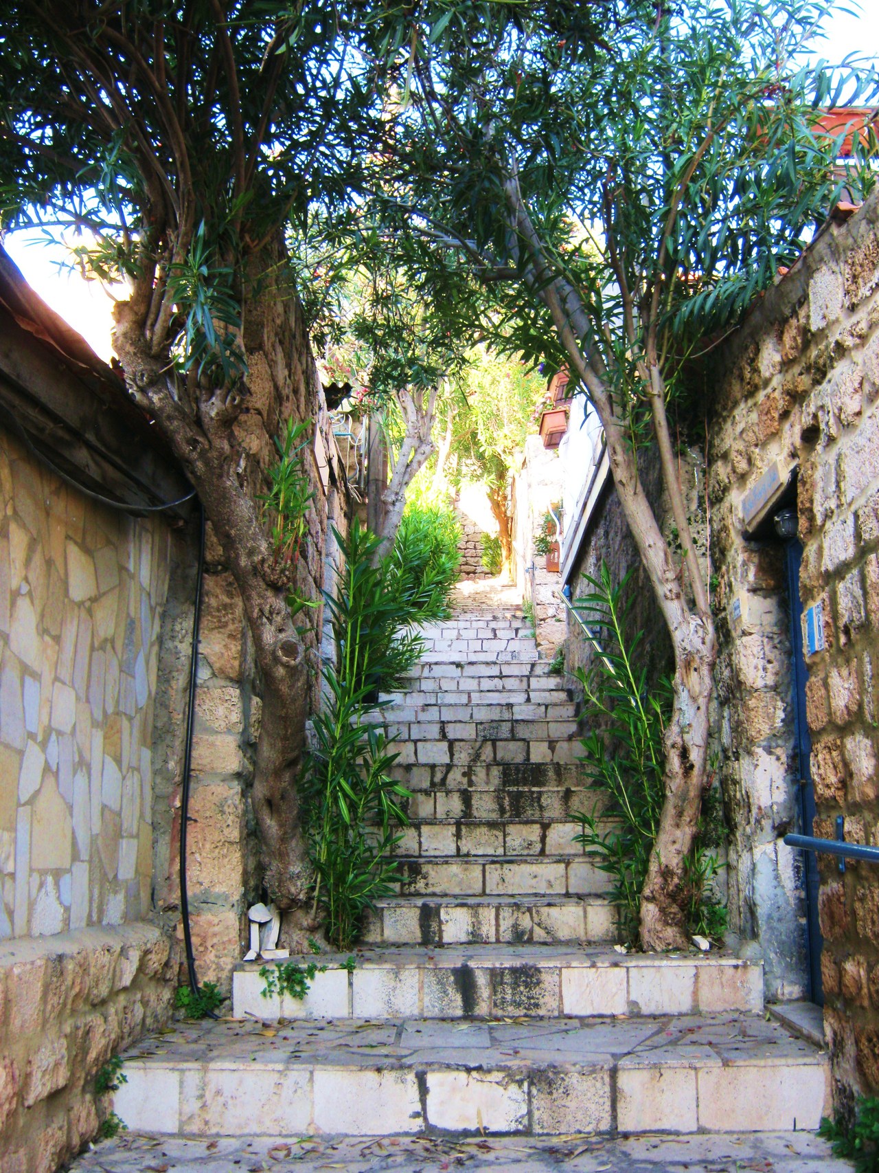 Библос (Джбейл), Ливан фото #27614