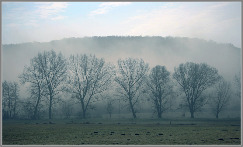Morning Mist - Люксембург фото #2712