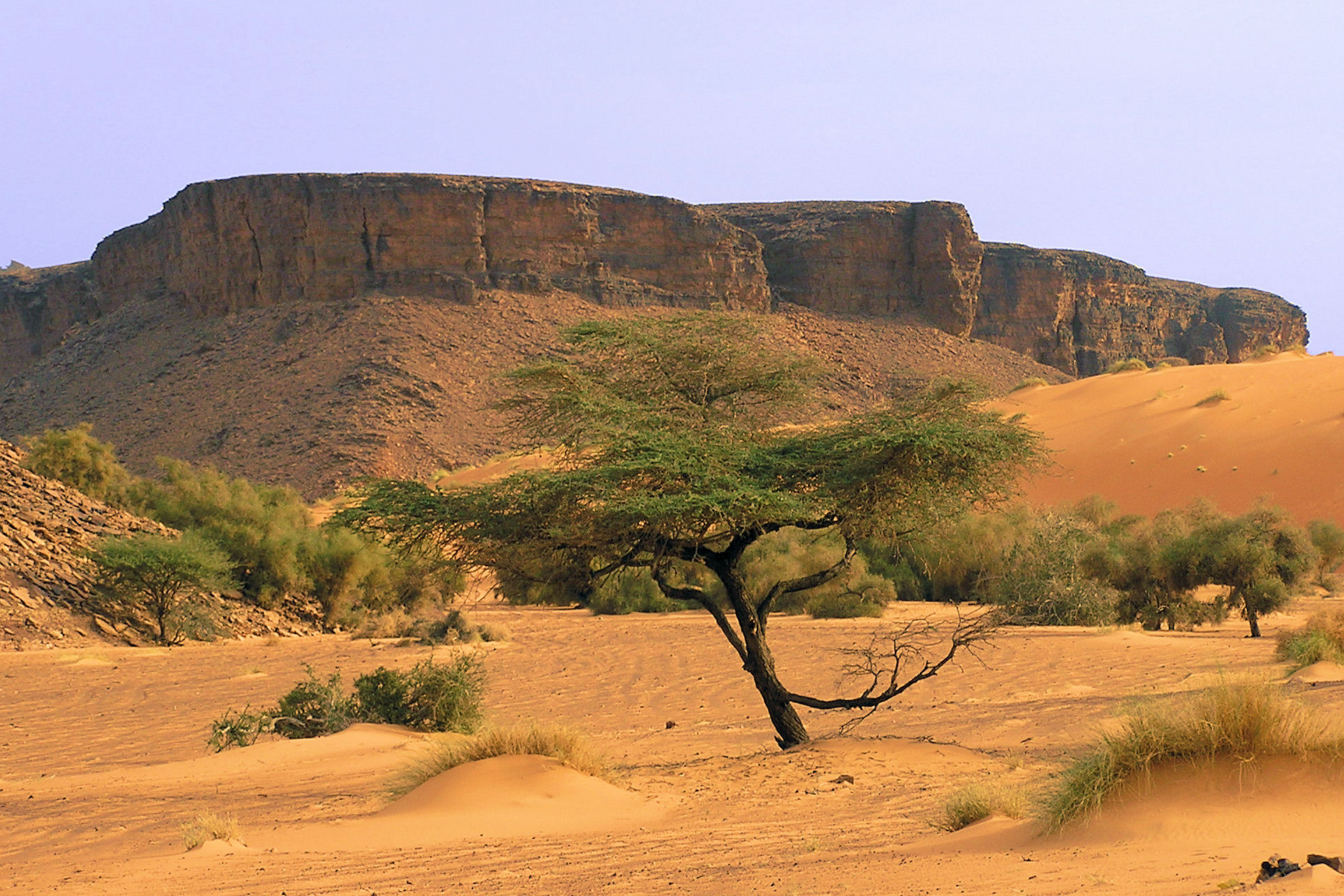 Мавритания фото #9352