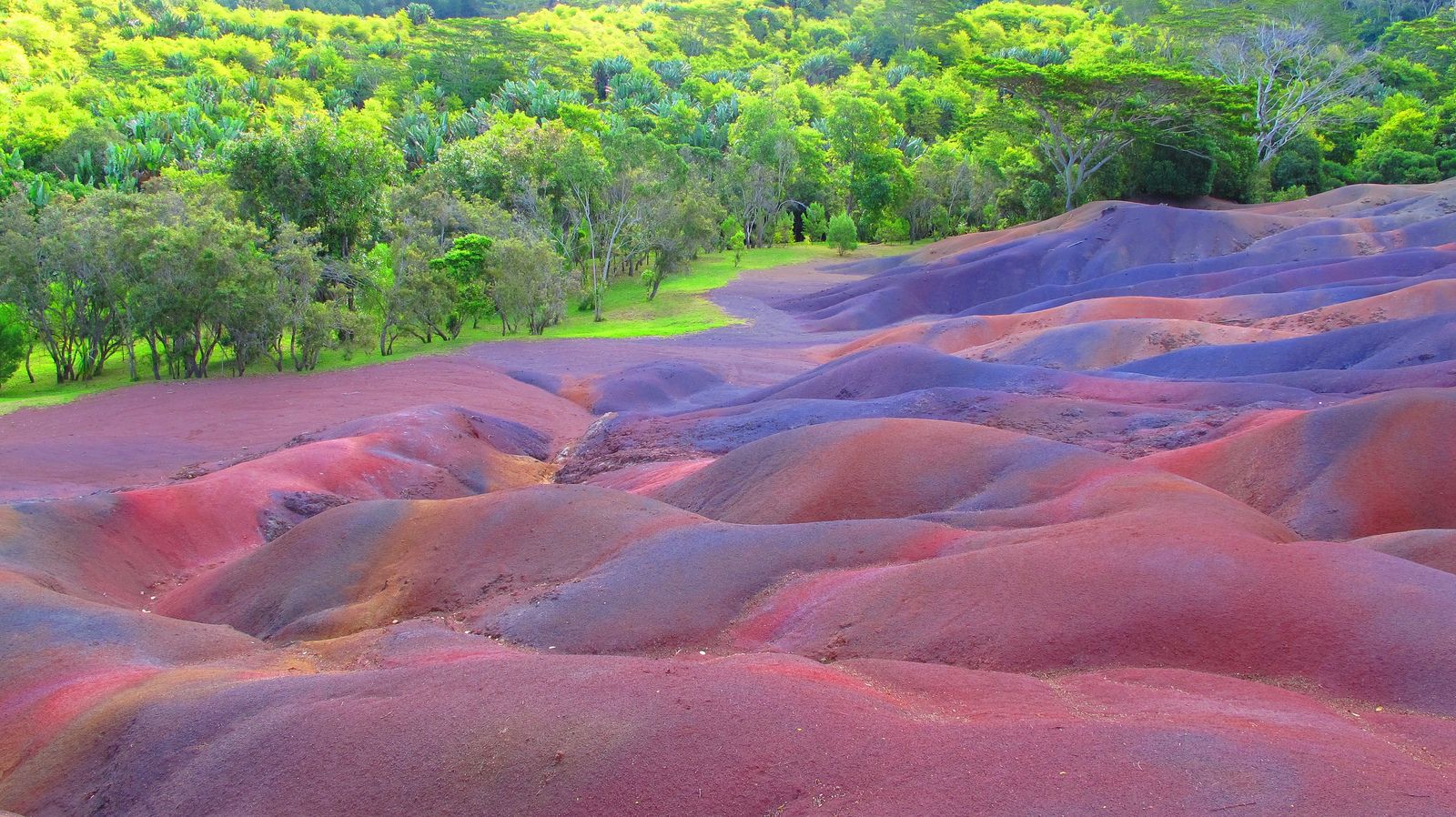 Уникальная природа парка Seven Coloured Earth - Маврикий фото #8998