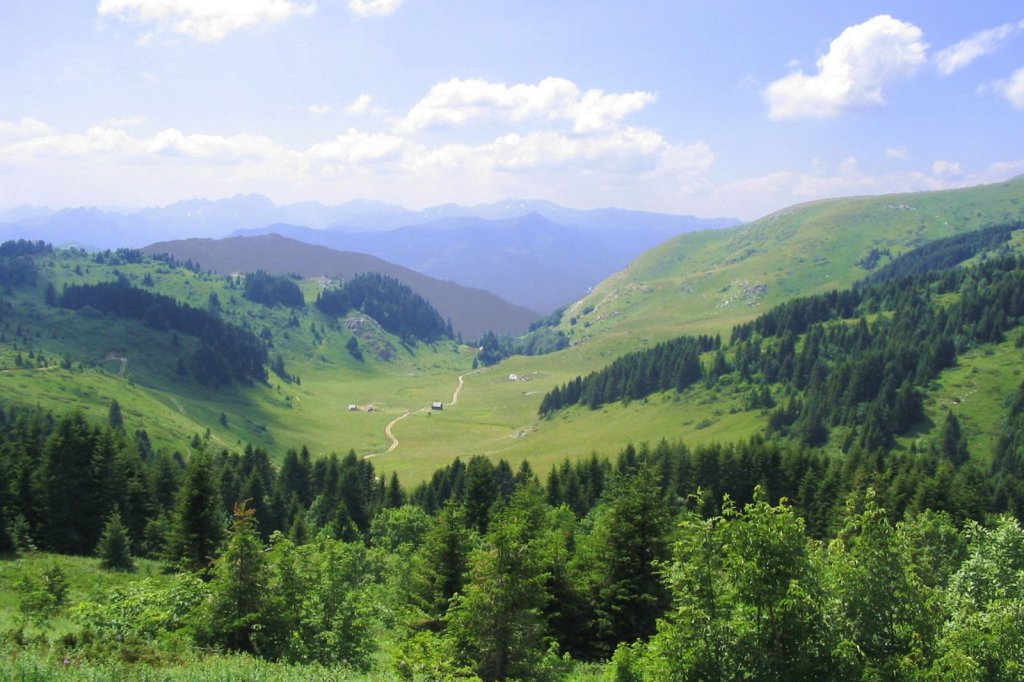 Биоградская гора Национальный Парк, Черногория фото #11907