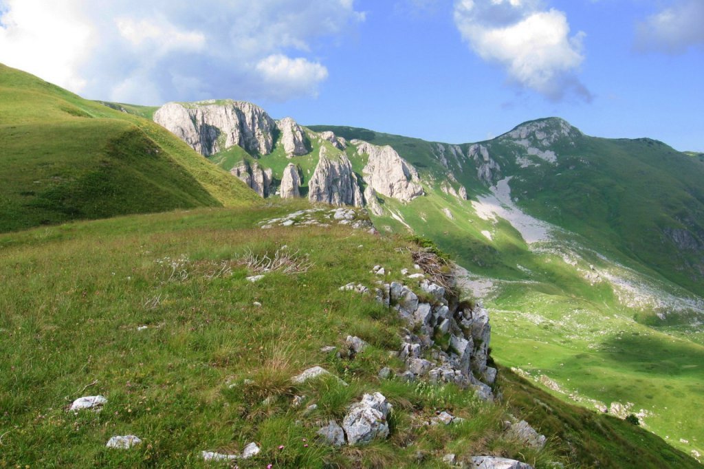 Биоградская гора Национальный Парк, Черногория фото #11908