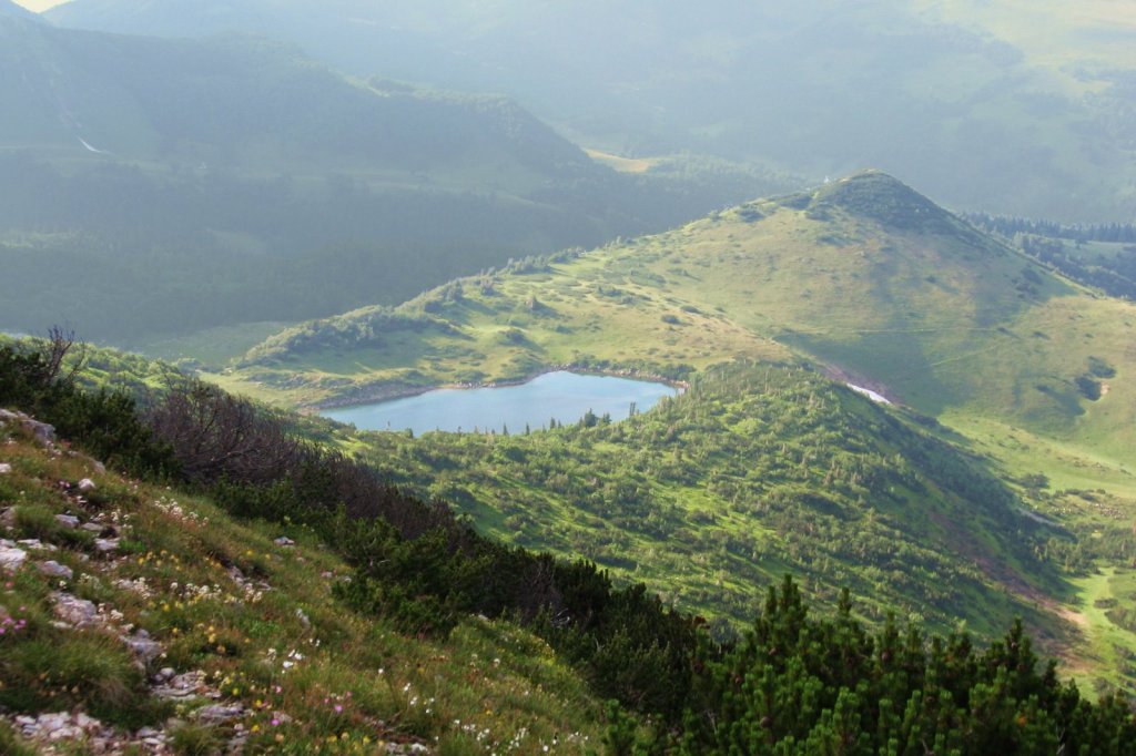Биоградская гора Национальный Парк, Черногория фото #11909