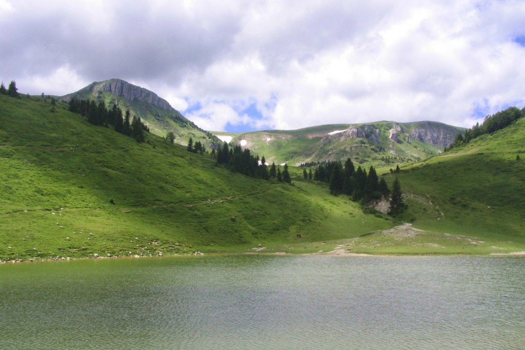 Биоградская гора Национальный Парк, Черногория фото #11914
