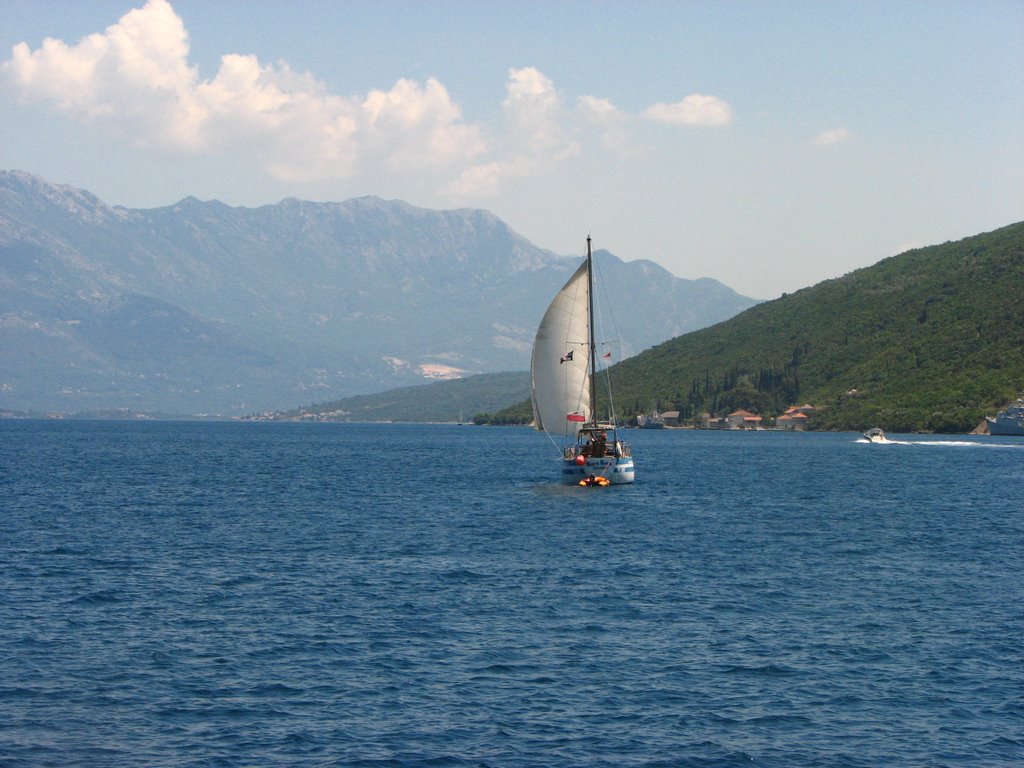 Которский залив, Черногория фото #11998