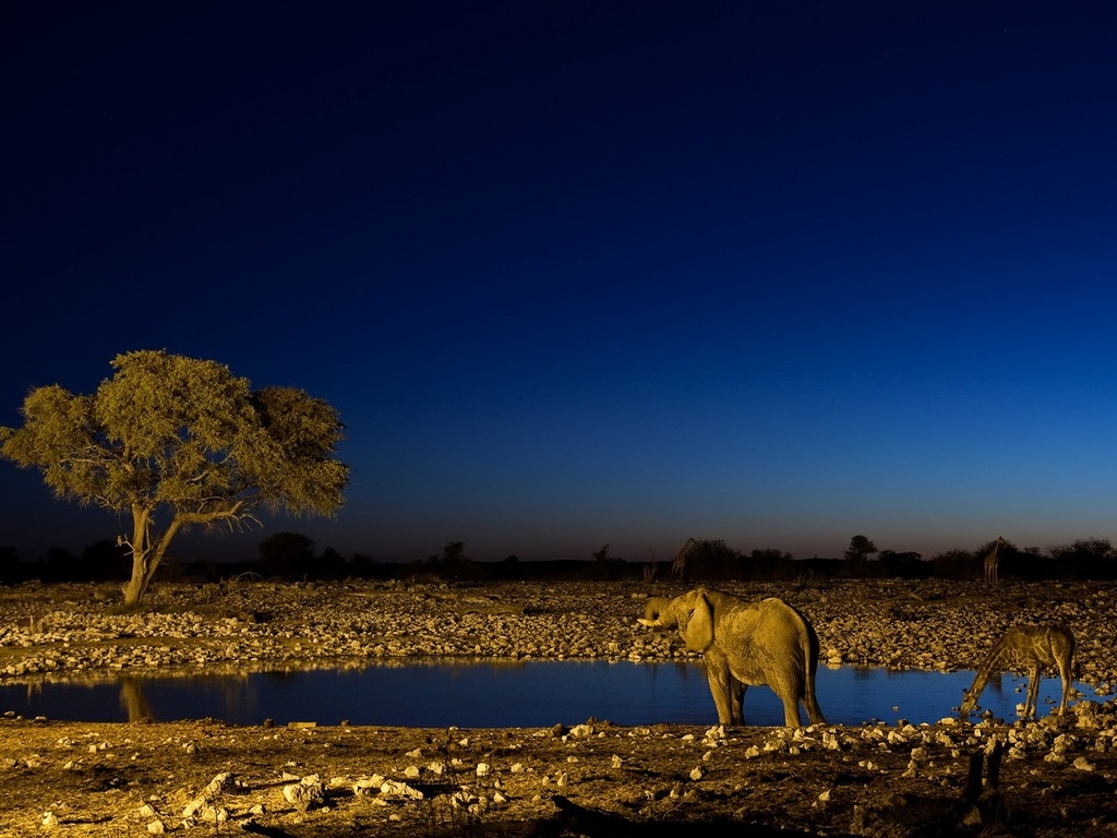 Намибия фото #10044