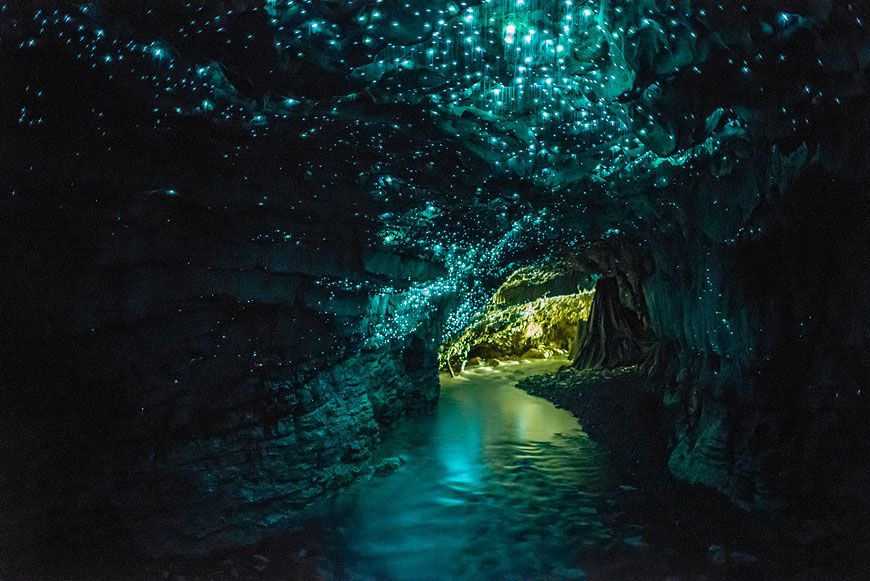 Пещеры светлячков, Вайтомо - Новая Зеландия фото #19123