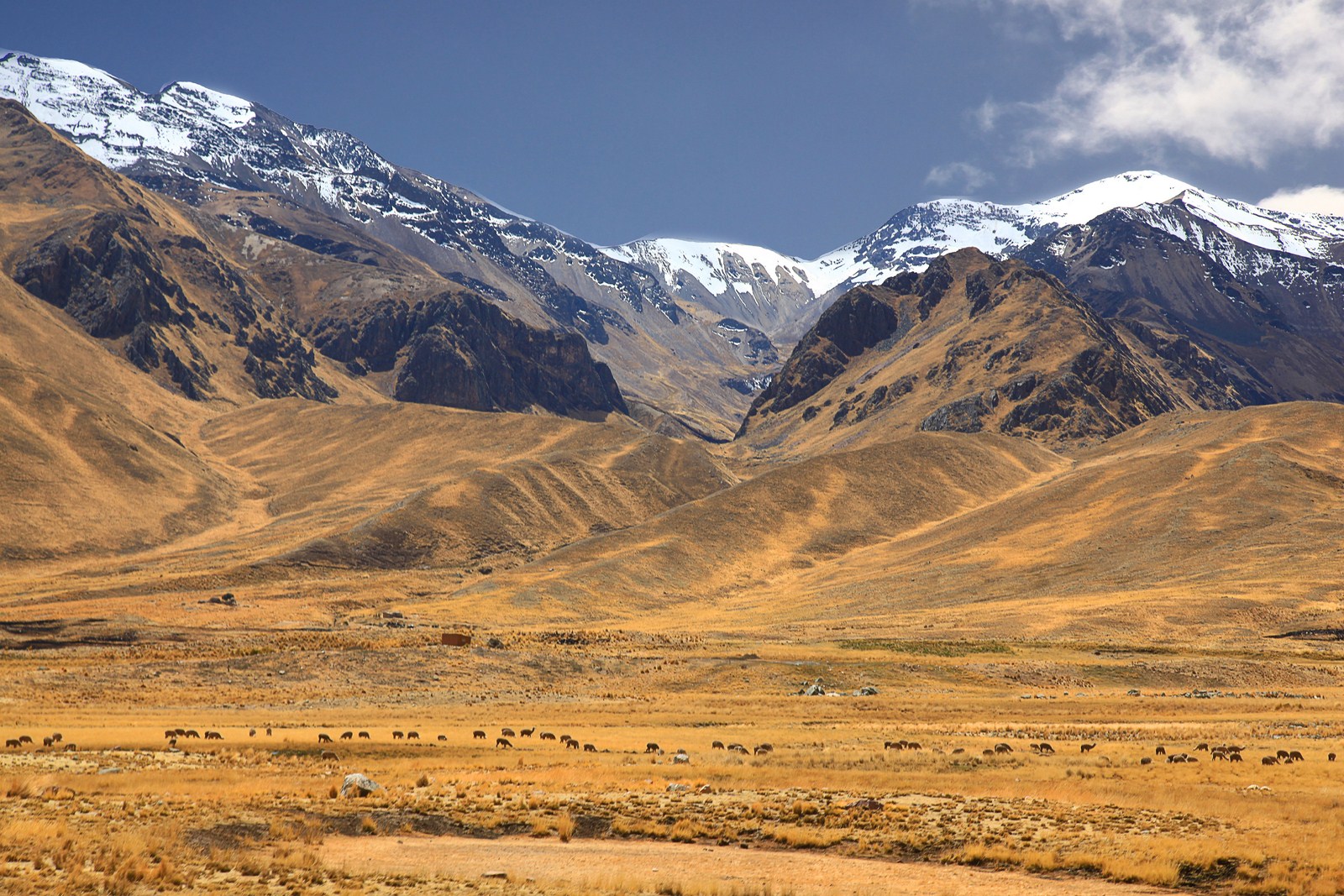 Перу фото #15387
