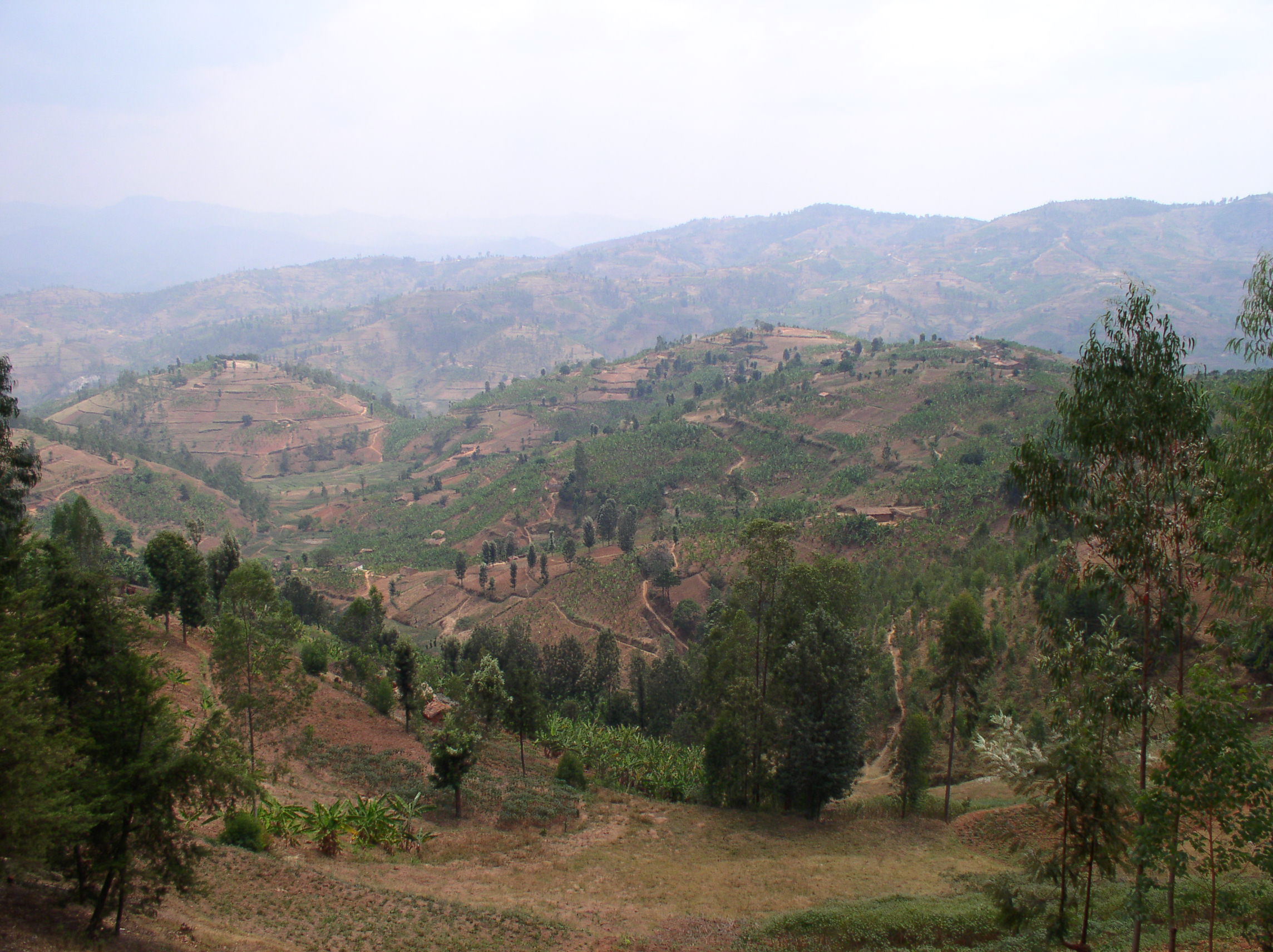 Руанда фото #8743