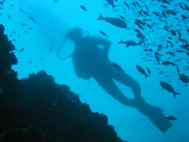 Lonely diver - Сан-Томе, Сан-Томе и Принсипи фото #2822