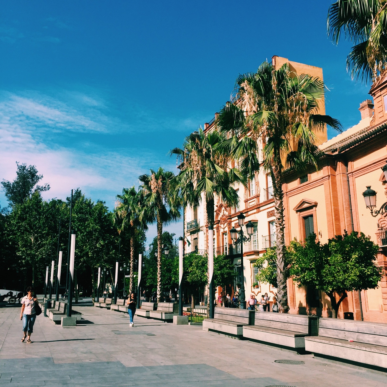 Севилья, Испания фото #26564