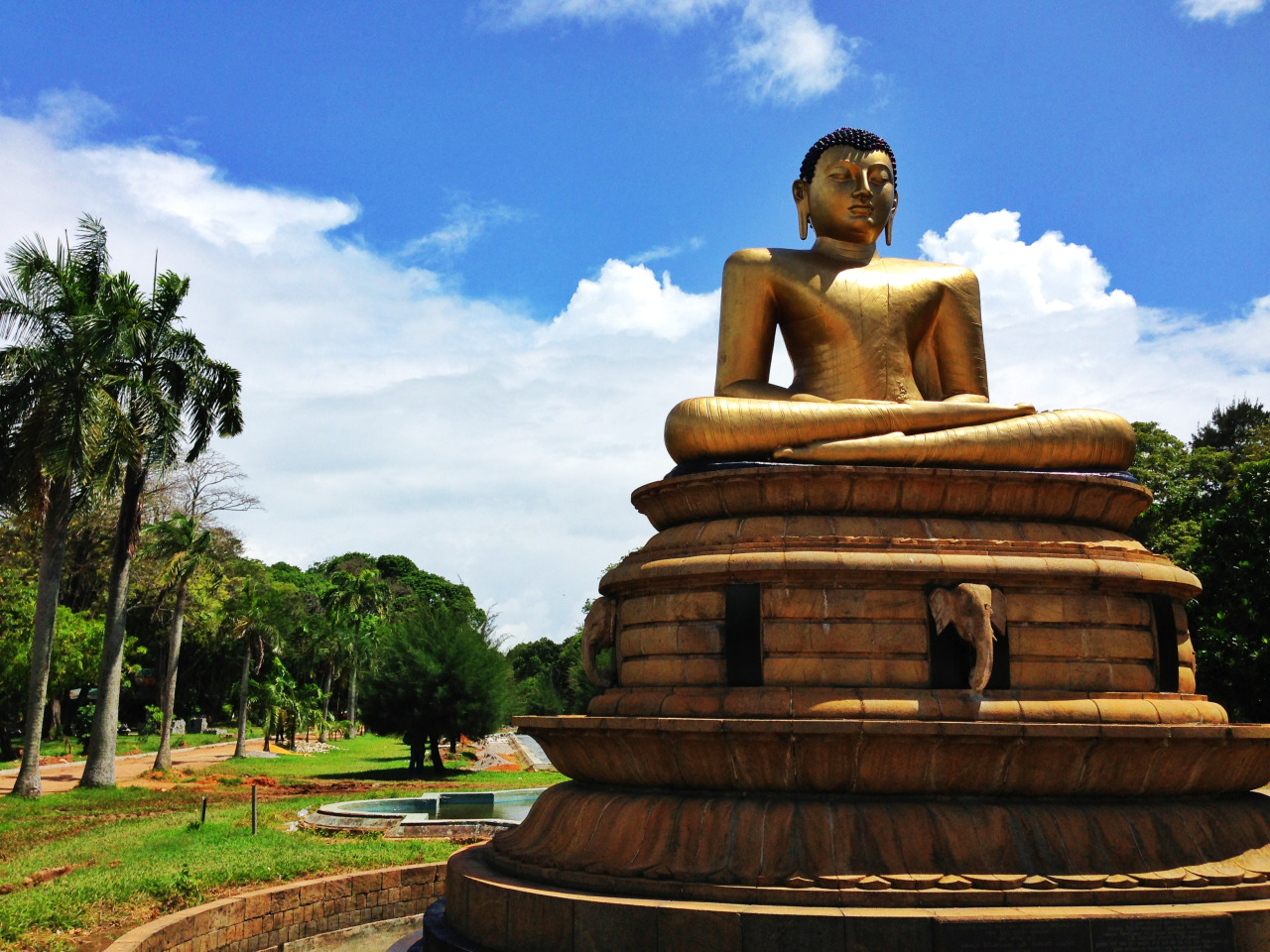 Коломбо, Шри-Ланка фото #27699