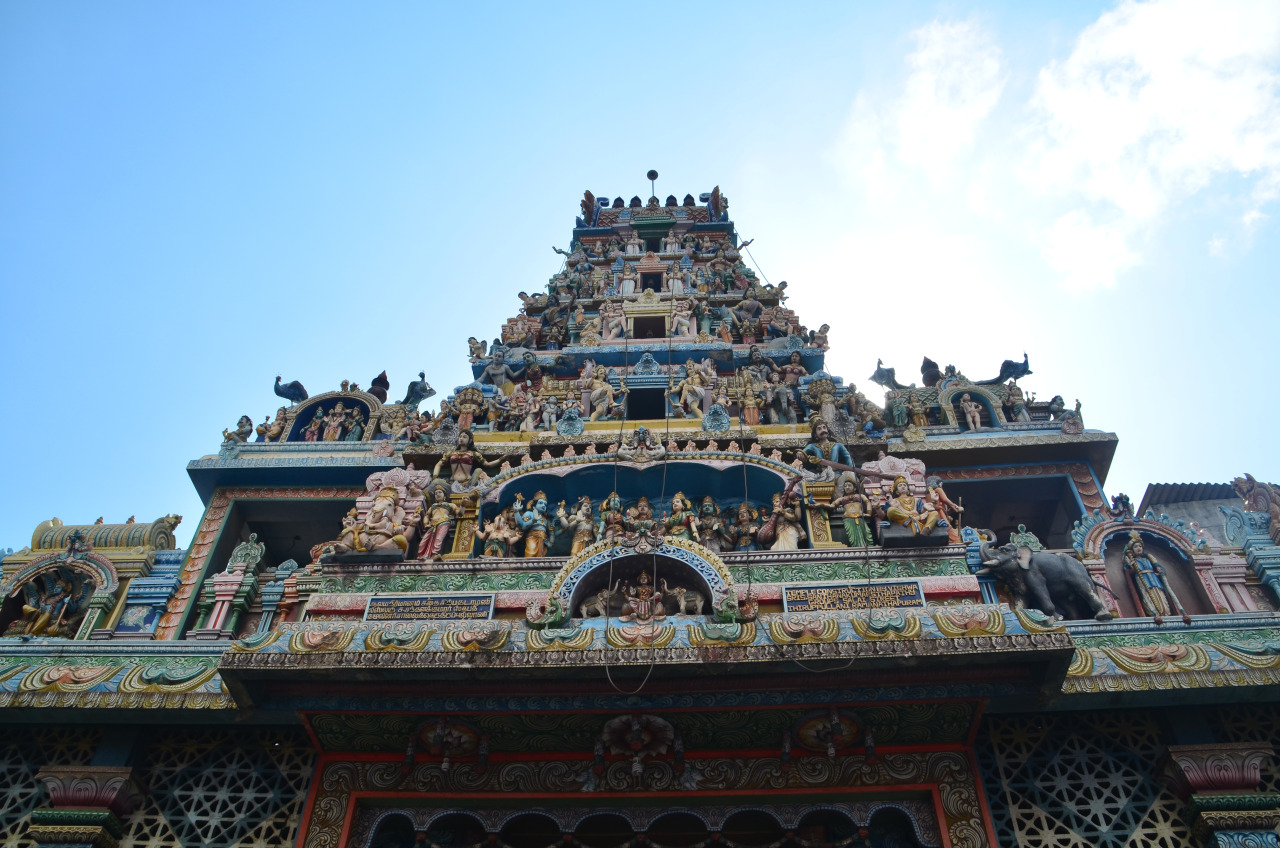 Коломбо, Шри-Ланка фото #27735