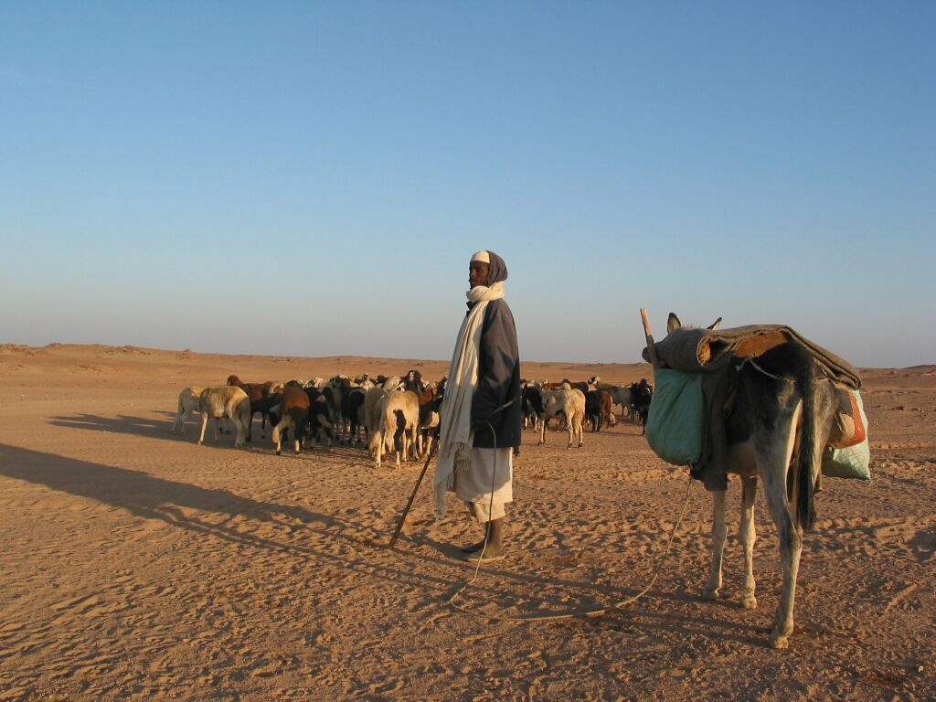 Судан фото #13711