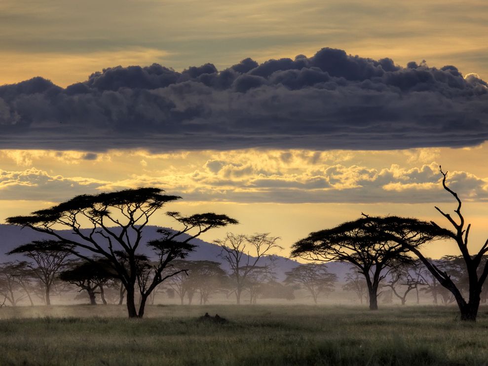 Танзания фото #13808