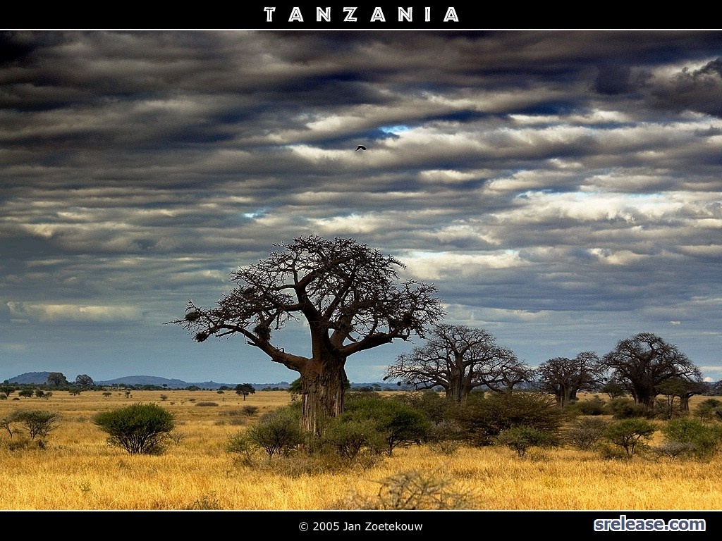 Танзания фото #13812
