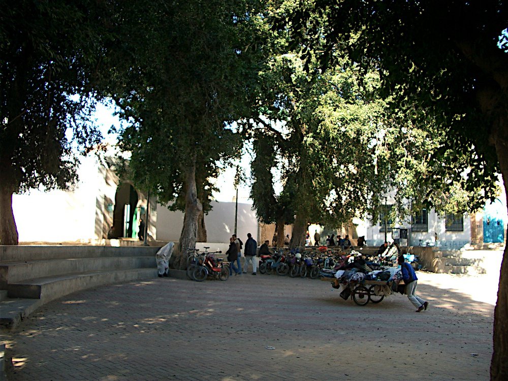 Сфакс, Тунис фото #12892