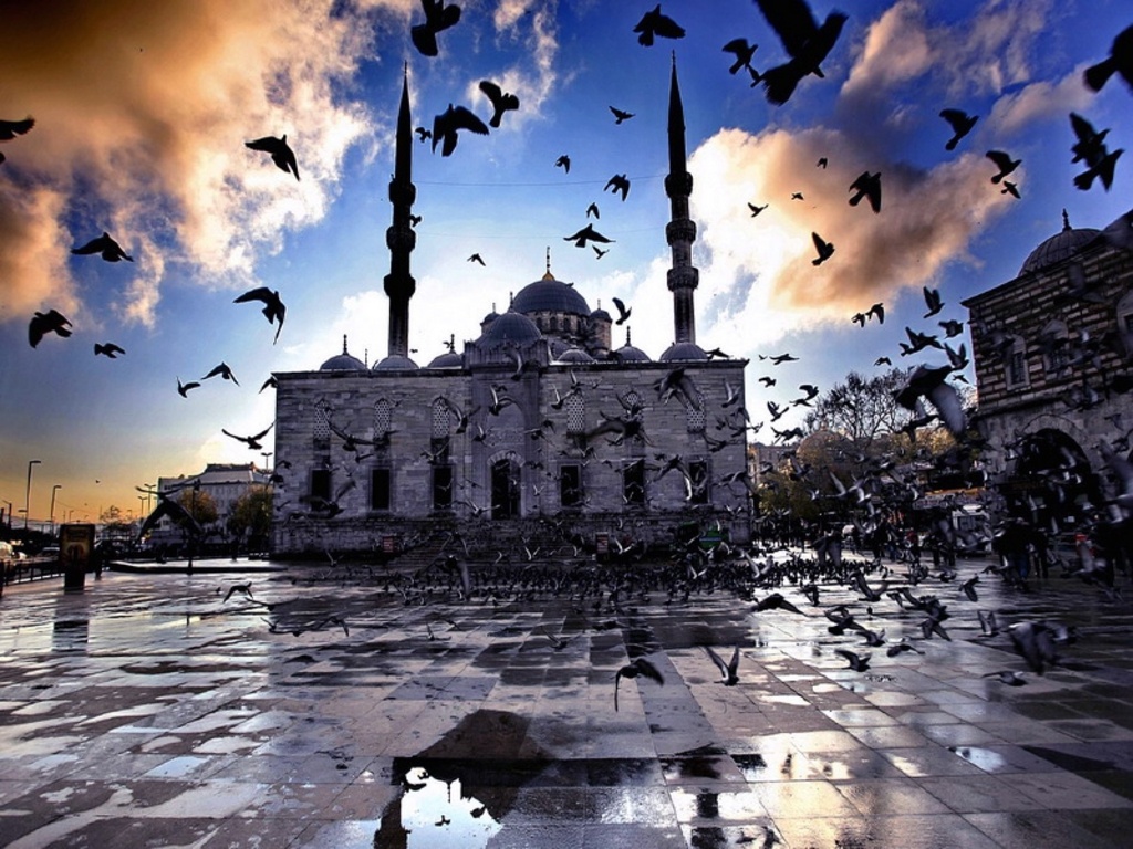 Стамбул, Турция фото #10832