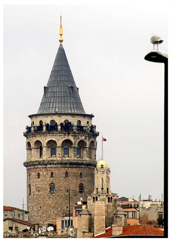 watching the tower - Стамбул, Турция фото #2954