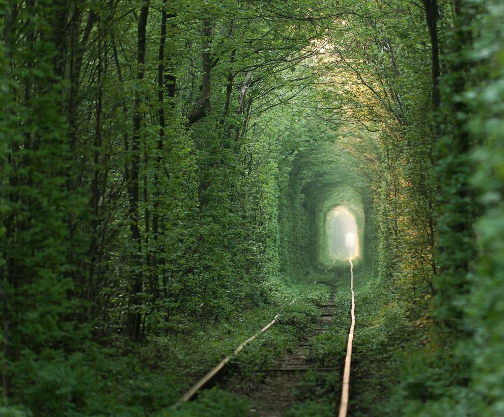 Тоннель любви, Клевань, Ровенская область, Украина - Ровно, Украина фото #19116