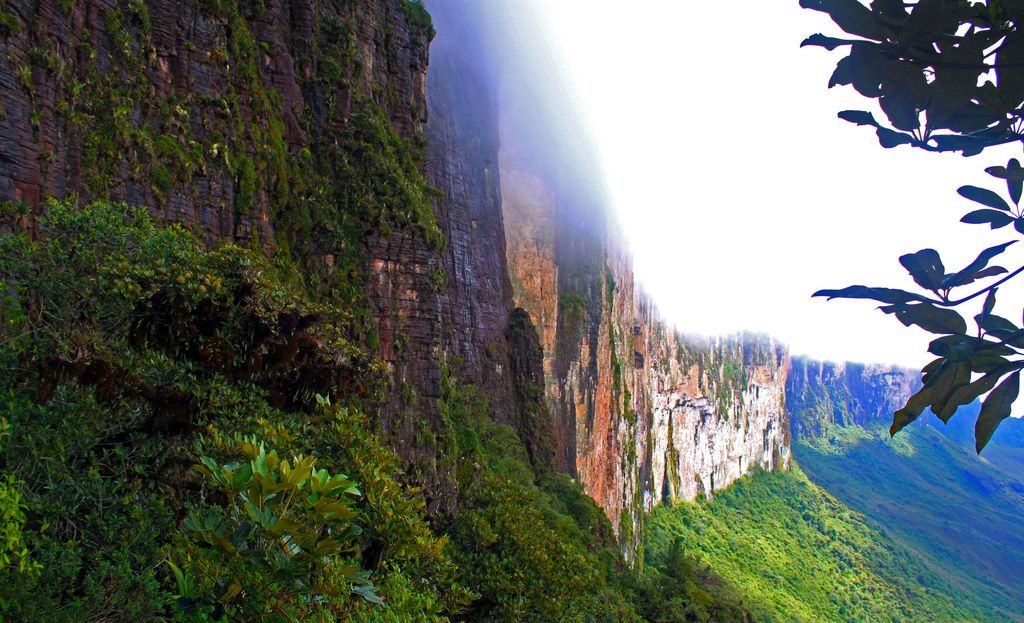 Гора Рорайма (Roraima) - Венесуэла фото #7875