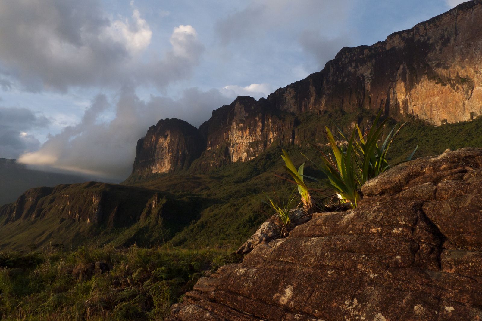 Гора Рорайма (Roraima) - Венесуэла фото #7877