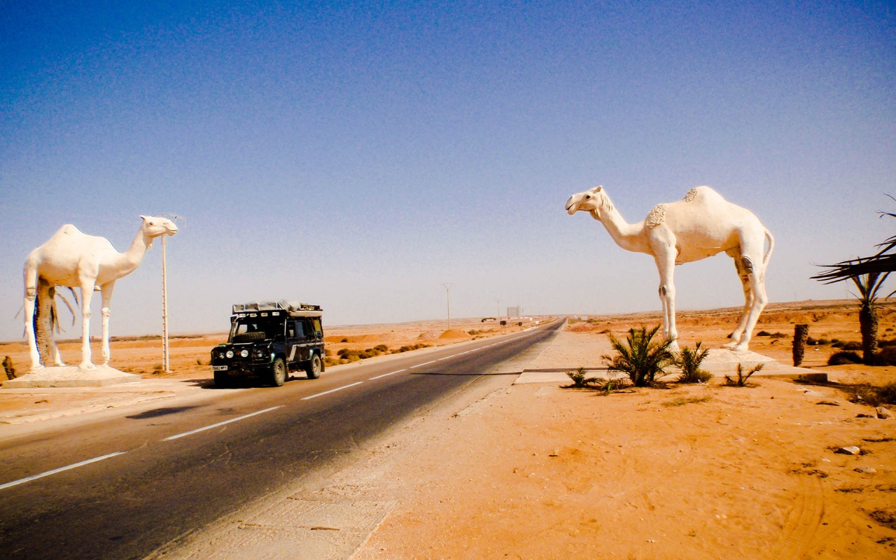 Западная Сахара фото #10449