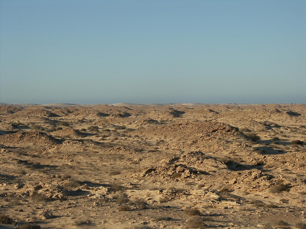 Западная Сахара фото #10450