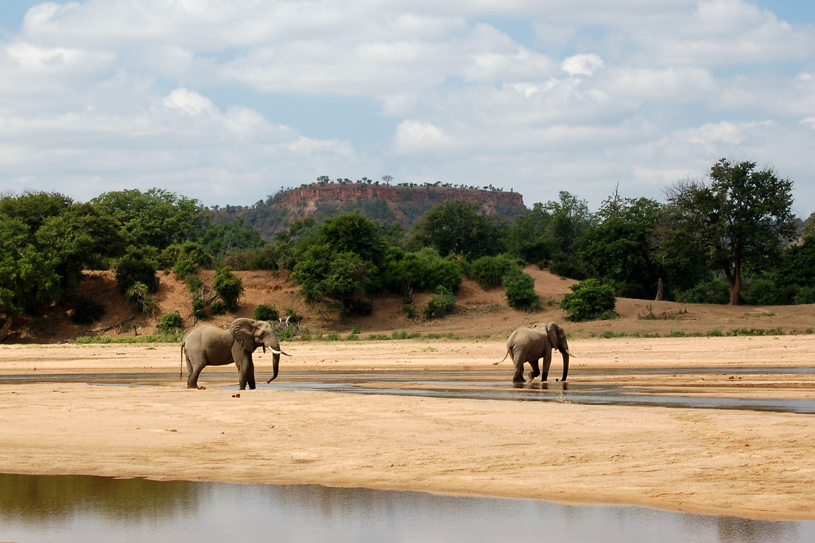 Гонарежу Национальный парк, Зимбабве фото #17730