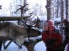 Горнолыжная Финляндия – северное сияние над трассой