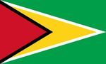 Гайана флаг