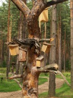 Друскининкай фото #22009