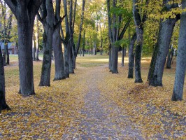 Бирштонас фото #22499