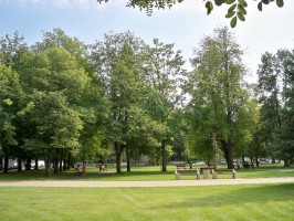 Зарасай фото #22510