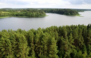 Зарасай фото #22534