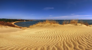 Неринга фото #22558