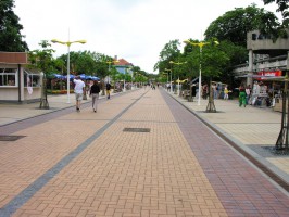 Паланга фото #22571