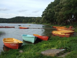 Палуше фото #22582
