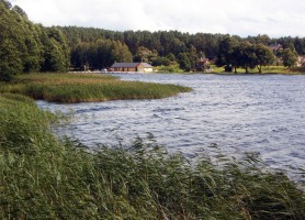 Палуше фото #22587