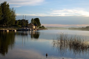 Палуше фото #22589