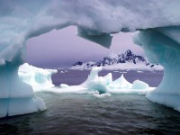 Антарктика (Антарктида) фото #7666