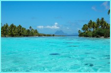 Французская Полинезия фото #2749