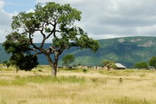 Свазиленд фото #13750