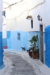 Марокко фото #30748