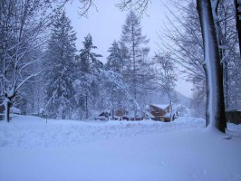 Закарпатье фото #21895