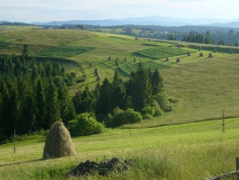 Закарпатье фото #21897