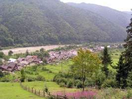 Закарпатье фото #21898